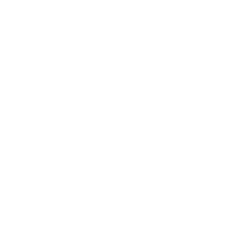 Icon Winterrad