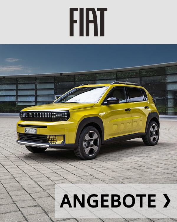 Herstellerbuttons Fiat