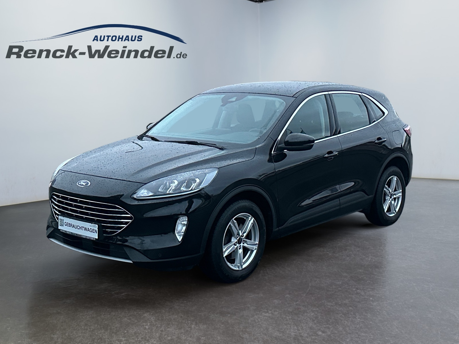 WF0FXXWPMFLK66550 01