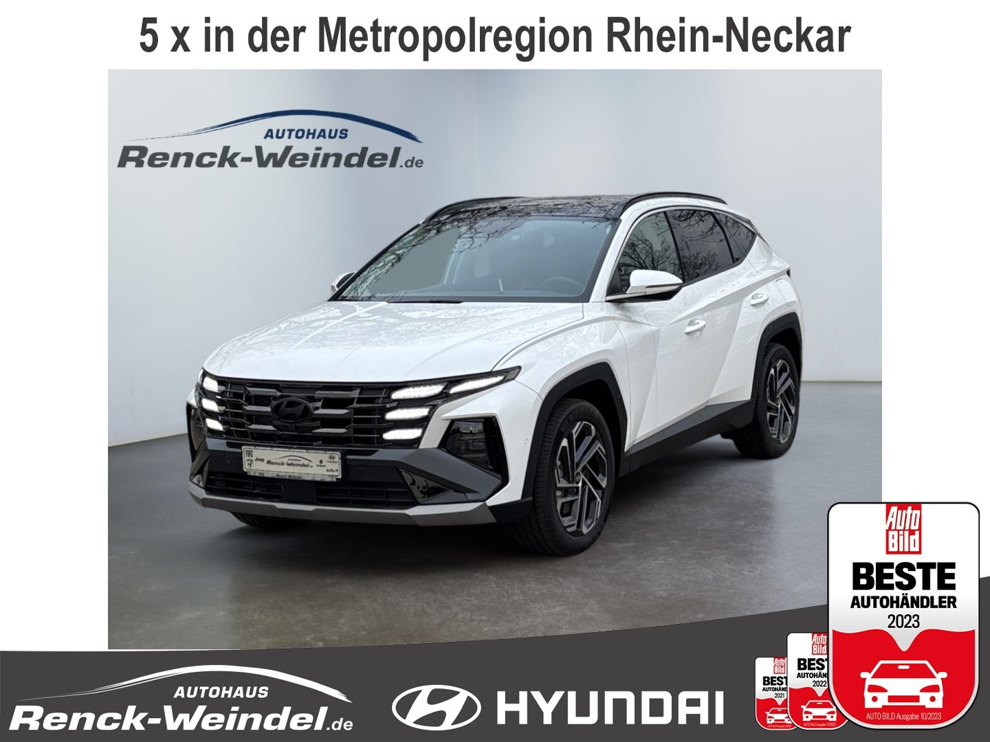 2413815 69d00c8c2e6637c994109 fe4b 4f41 8d3b f1a9c554f4a4 rule mo 1600