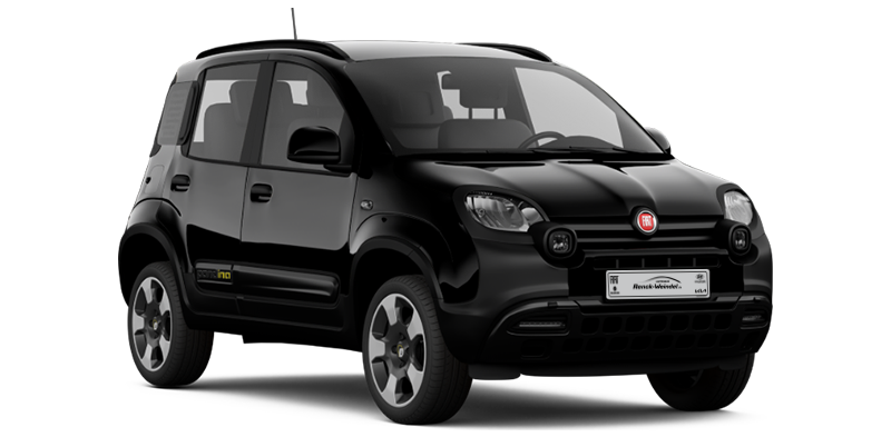 Fiat Pandina gross